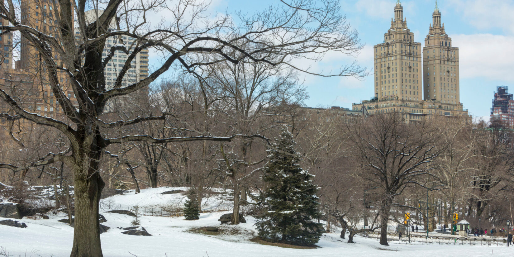A landscape blanketed with snow, with NYC buildings in the background.